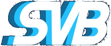 Sports Video Basic